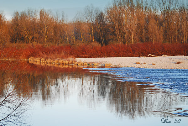 Bords du Rhône 