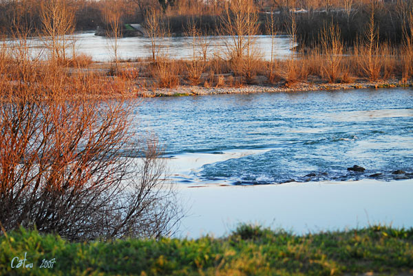 Bords du Rhône 