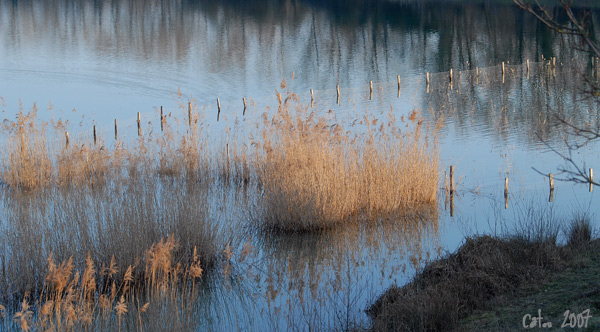 Lac de la Bletta